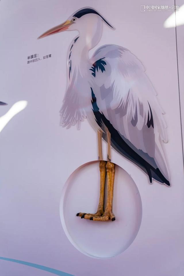 阳山自然驿站矩阵落成，全域科学体验线路启用