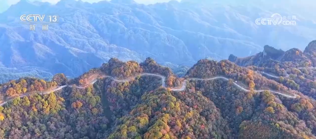 各地迎来秋日“限定版”美景 “文旅+”新场景新业态激发“赏秋经济”活力