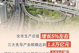 【数读中国】六组数据看上海的2024和2025图片