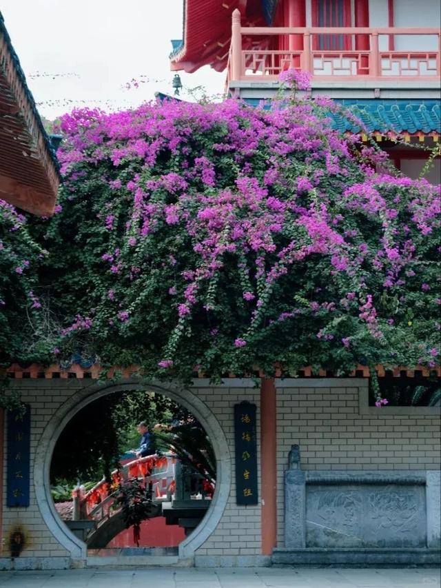 虞山公园|桂林的“园林公园”，一步一景