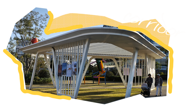 闵行的晚秋，太温柔