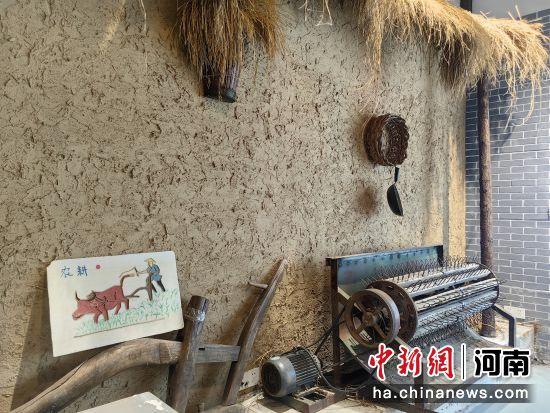 探访黄河稻米文化博物馆：感受黄河农耕文化