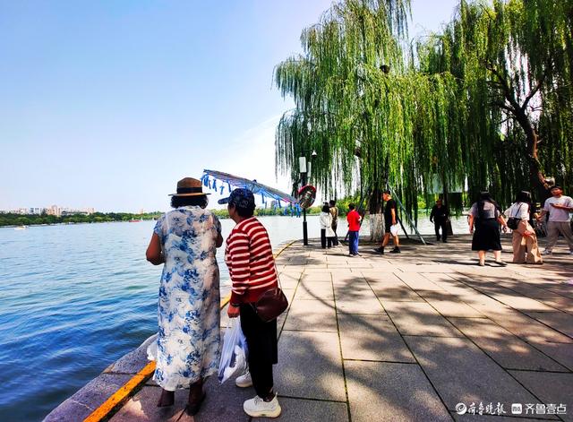 明湖垂柳曼妙多姿，游人如织景致如画