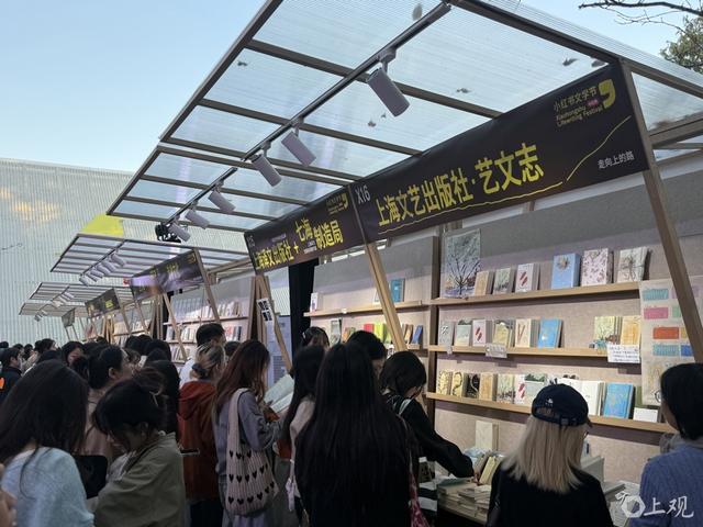 阳光正好，风很温柔，上海的秋天，阅读让人怦然心动