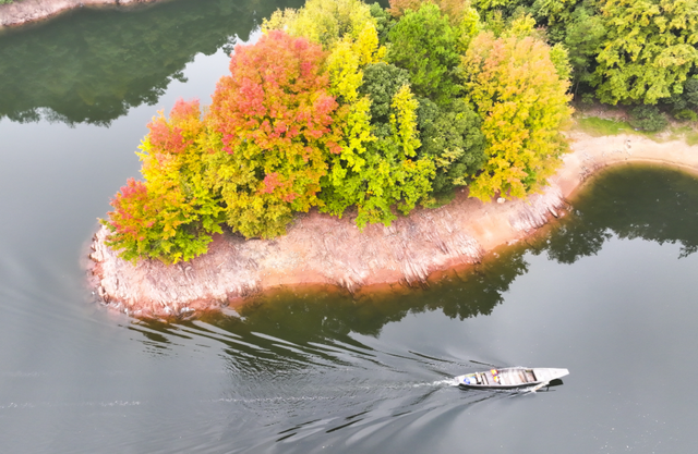 我在这里，等你→