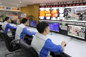 垃圾焚烧企业转向东南亚：国内垃圾场“吃不饱”，海外成蓝海图片