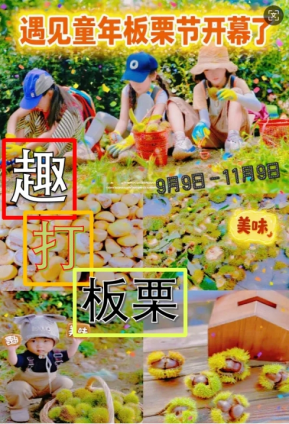 永安镇秋日盛宴，田园牧歌×山野狂欢给你双倍快乐！
