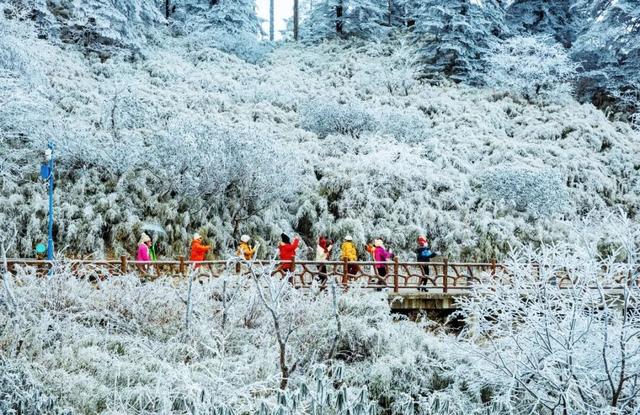 快@喜欢的人，一起去爬瓦屋山吧！