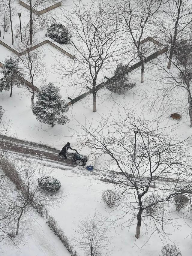 今天多地有雪！辽宁2025最后一天会很冷……