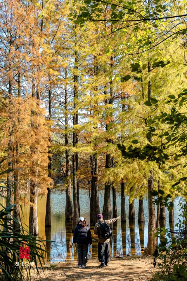 抓住晴天尾巴，徒步青龙山！