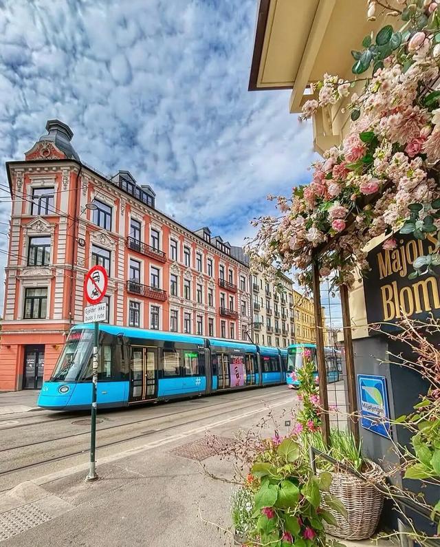 全网最快！请收下这份《花少7》同款挪威攻略