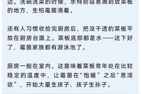 菜板发霉，开水烫还是太阳晒？图片