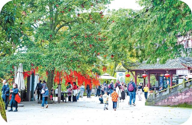 深化“文旅+”融合 首个秋假雅安很“火热”