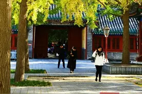 在红色和黄色交织的环境里，感受冬日暖阳的国子监图片