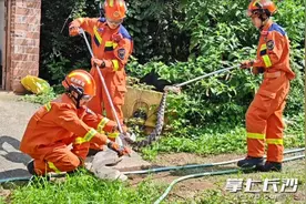 小心！毒蛇接连闯入长沙居民家中！图片