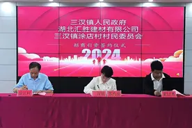 孝南区：项目签约打响村级集体经济“加速跑”第一枪图片
