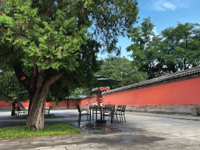 北京古树 家国情怀 国庆古树游线等您来体验