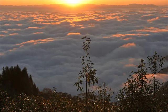 2026年，来红河，赴一场跨越四季的浪漫之约！