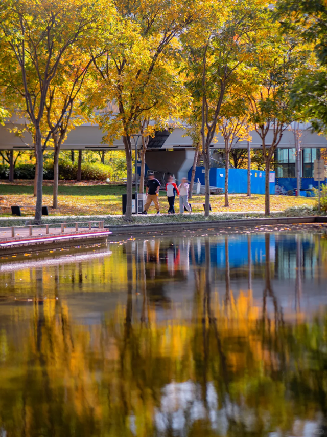 上海市区免费公园的枫叶大道红了！还有通往 “欧洲城堡” 的绝美旋梯→