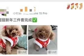 过年“三件套”大家都安排了吗？有人凌晨1点定闹钟抢保洁服务图片