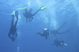 中青评论：“每月都有人耳膜穿孔”，潜水“水深”如何解？图片