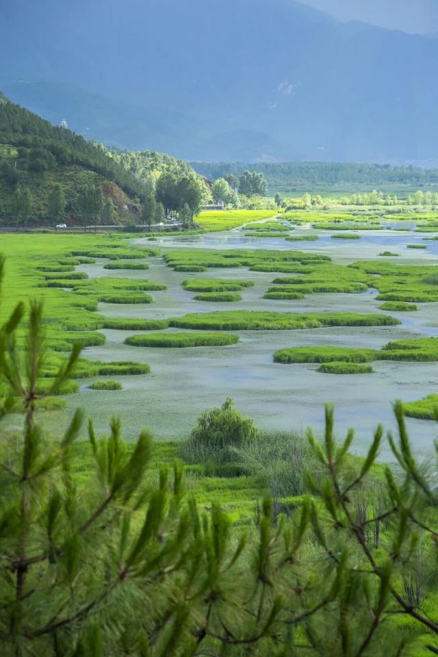 【冬季暖阳 凉山不凉】最全美食美景旅行攻略出炉！第一次来泸沽湖旅游必看！