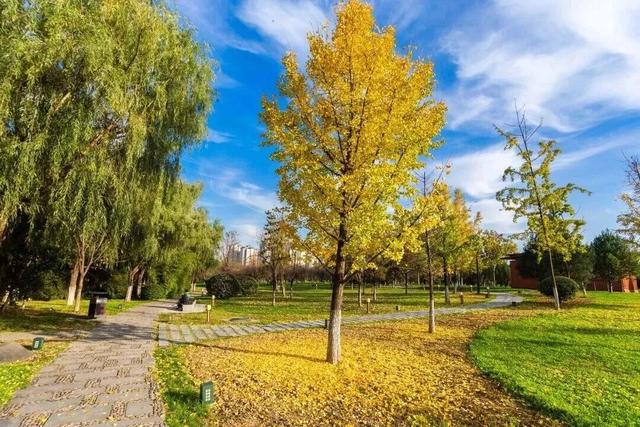 秋风引路入曲江，芙蓉金叶映红墙