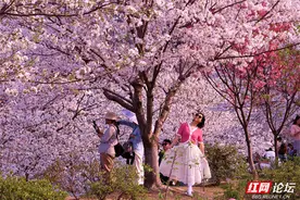 【每日一图@湖南】生活像花儿一样美：长沙人私藏的工业风春日秘境图片