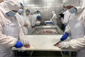酱爆腰花、爆炒猪肝、青椒肚丝……上海老饕们也爱的菜，如何24小时从工厂到餐桌的图片