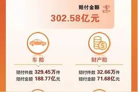 阳光财险发布2024年度理赔报告 赔付金额达302.58亿元图片