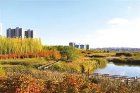 绿色宜居 智慧便民 兰州新区持续开展“魅力新区品质提升”行动图片