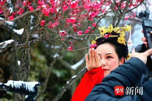 雪落金陵梅绽香 六朝古都迎客忙