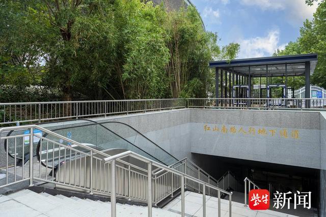 出南京站别急着走！这条5分钟直达红山森林动物园的通道拍照超出片