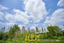 雨后初霁，泉城“治愈系”蓝天白云上线 | 镜相图片