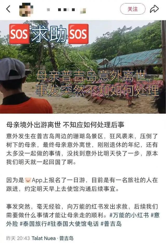 已证实!中国女游客被砸中身亡,女儿崩溃:原计划次日回国,“刚退休的年纪,没想到意外快了一步”