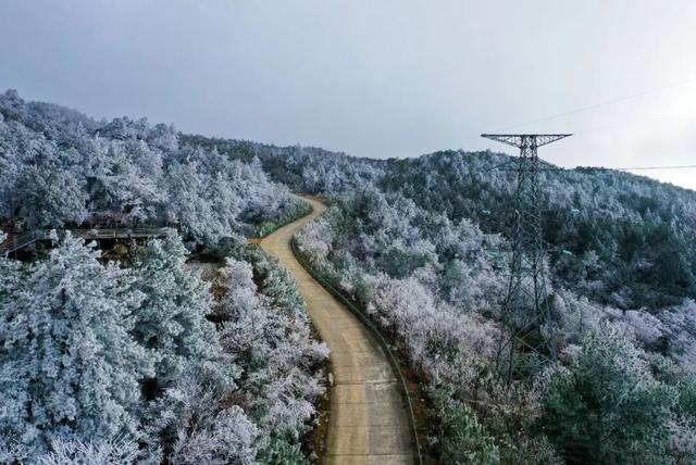 多图直击融水雾凇美景