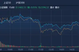 A股收评：创业板指震荡调整跌0.81% 山东矿机等多只高位股跌停图片