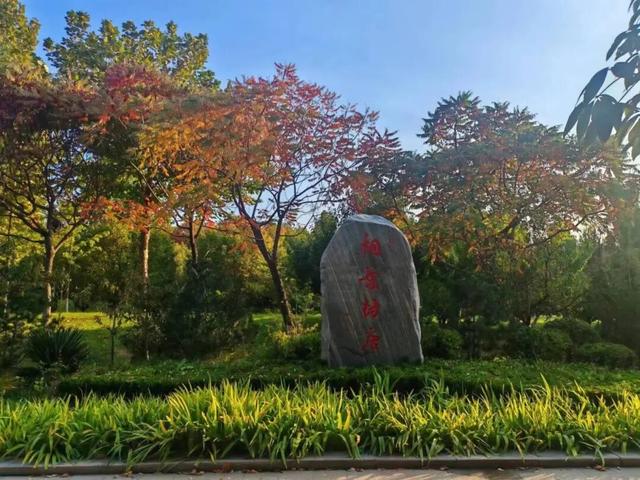 曲沃的冬天不可辜负