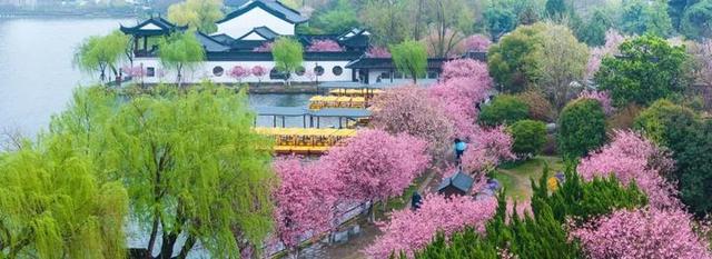 莫愁湖的四时美景，你见过多少？