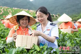 税惠赋能广东现代农业与食品产业高质量发展图片