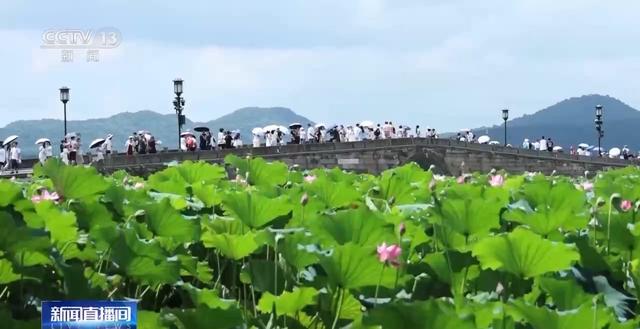 “看熊猫专线” “赏荷巴士”……暑期解锁一站式旅游观光