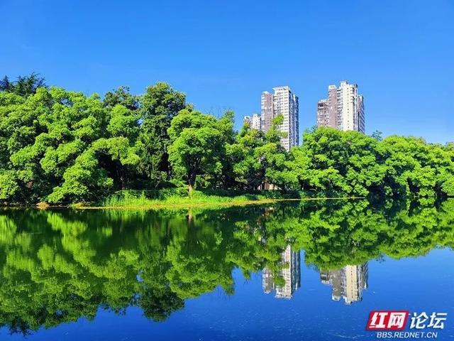天幕如画，城市生光，这才是常德的夏天