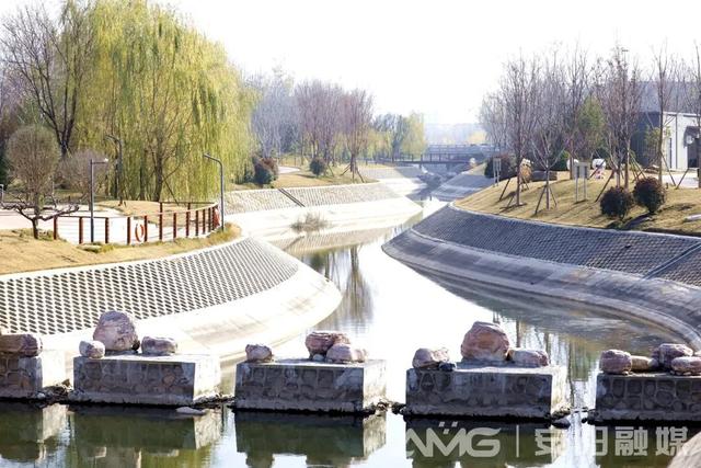 这几年，白鹭爱上了安阳