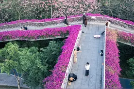 图集丨人行天桥穿“花衣”图片