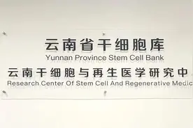 舜喜控股集团首款干细胞1类新药临床IND获批 用于治疗特发性肺纤维化图片
