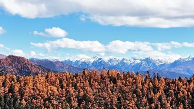 它都这么美了！差点忘记推给你了