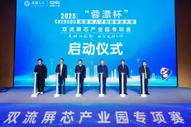 2025“蓉漂杯”高层次人才创新创业大赛双流屏芯产业园专项赛举行图片