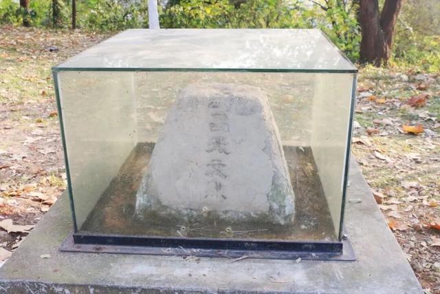 武昌赏秋天花板！这条被推荐100次的山路，迎来最美时刻