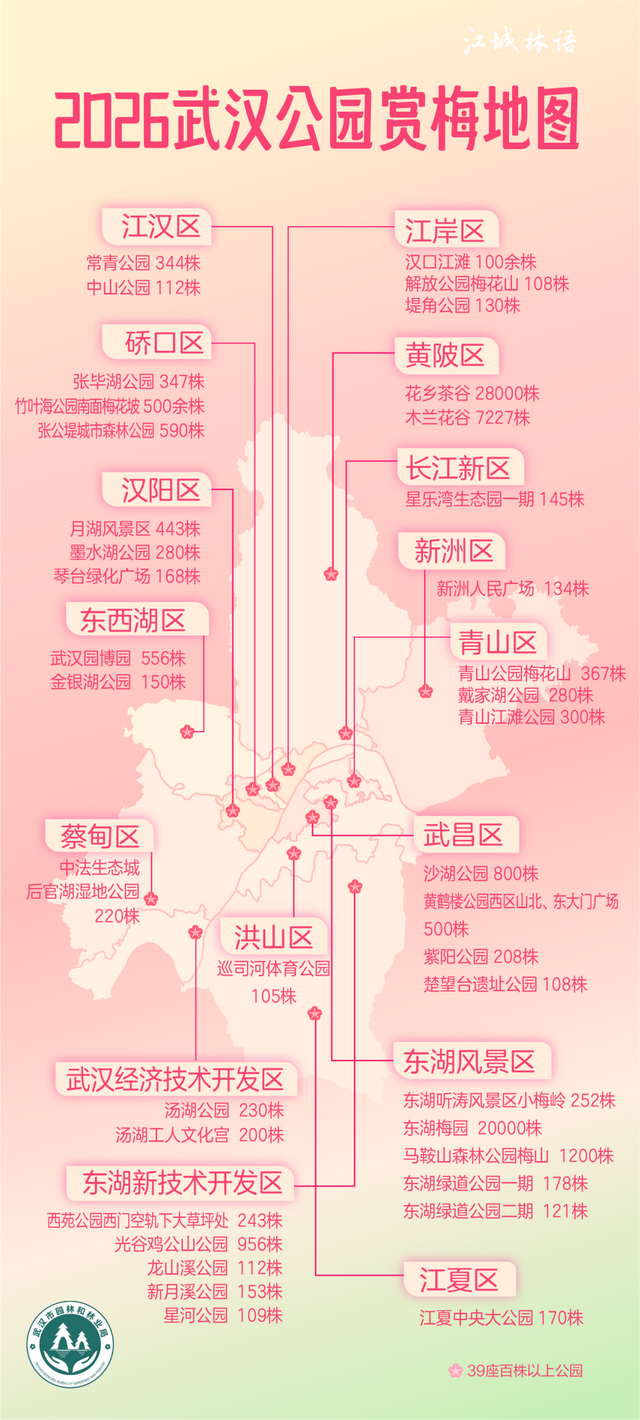 武汉梅花美到封神！官方赏梅地图请收好