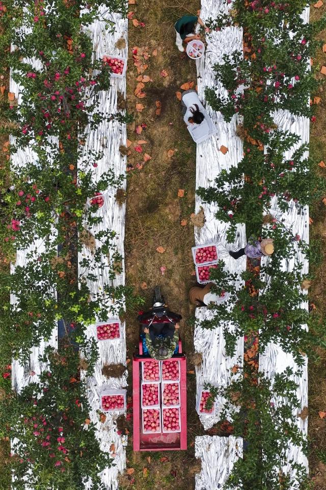 榆林：多韵秋色美如画